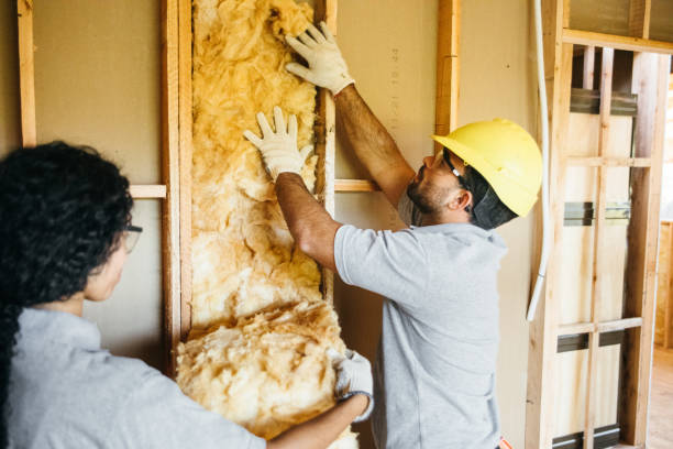 Best Commercial Insulation Services  in Center, CO